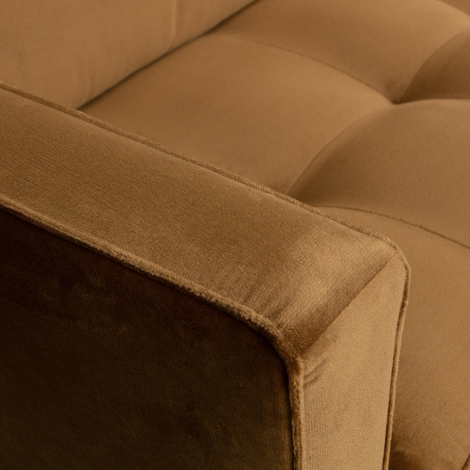 RODEO CLASSIC 2,5-SITZER SOFA VELVET HONIGGELB 800844-14 – Bild 3