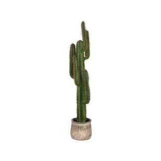 Cactus - Groen - Kunststof - 130 cm 18098872